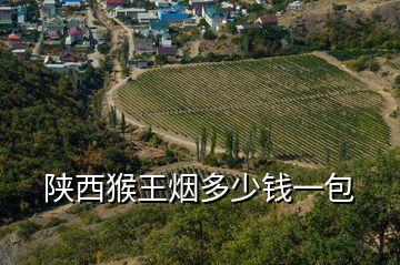 陜西猴王煙多少錢一包