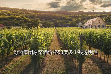 汾酒集團(tuán)原漿酒價格53度多少錢透明盒
