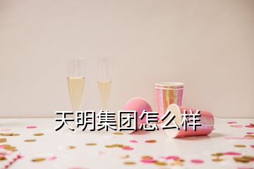 天明集團(tuán)怎么樣