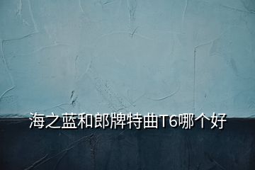 海之藍(lán)和郎牌特曲T6哪個好