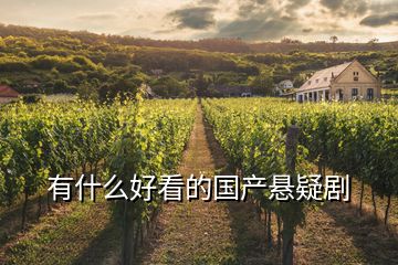 有什么好看的國(guó)產(chǎn)懸疑劇