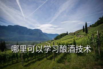 哪里可以學習釀酒技術