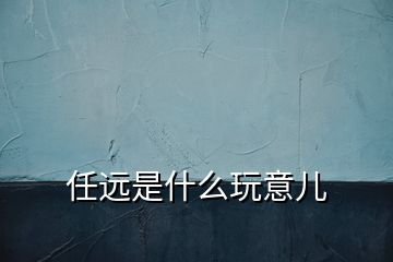 任遠是什么玩意兒