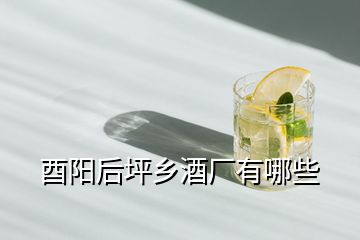 酉陽(yáng)后坪鄉(xiāng)酒廠有哪些