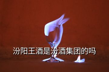 汾陽(yáng)王酒是汾酒集團(tuán)的嗎