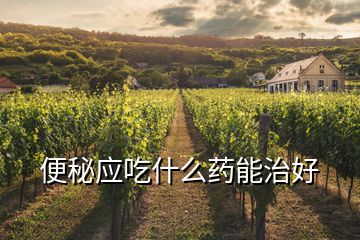 便秘應(yīng)吃什么藥能治好