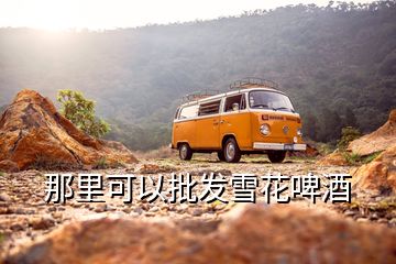 那里可以批發(fā)雪花啤酒