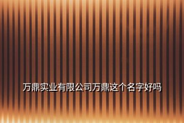 萬鼎實(shí)業(yè)有限公司萬鼎這個(gè)名字好嗎