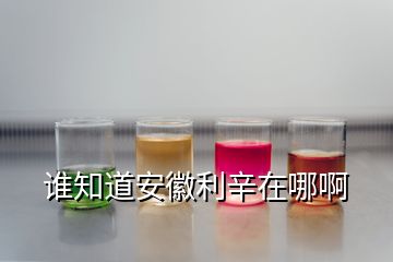 誰(shuí)知道安徽利辛在哪啊