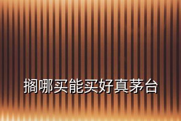擱哪買能買好真茅臺