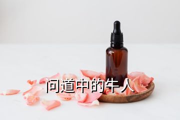 問(wèn)道中的牛人