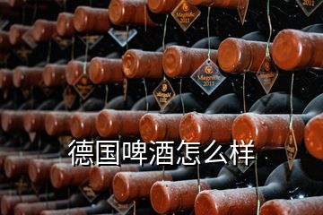 德國啤酒怎么樣