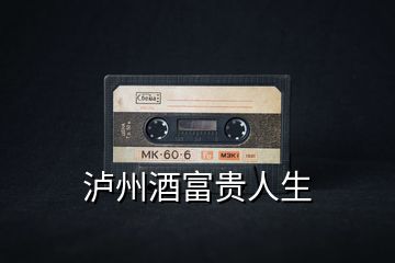 瀘州酒富貴人生