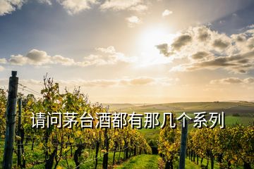 請(qǐng)問茅臺(tái)酒都有那幾個(gè)系列