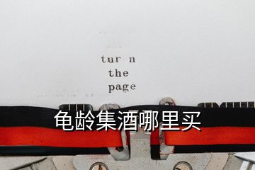 龜齡集酒哪里買(mǎi)