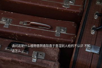 請問這是什么植物喜陰喜陽喜干喜濕別人給的不認(rèn)識 不知道怎么