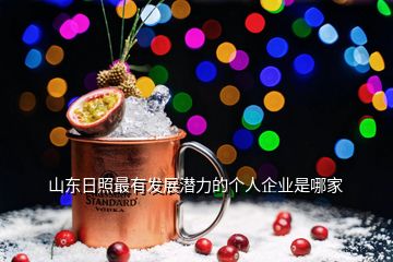 山東日照最有發(fā)展?jié)摿Φ膫€人企業(yè)是哪家