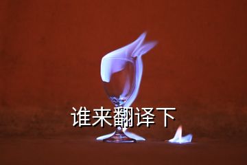 誰(shuí)來(lái)翻譯下