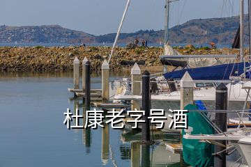 杜康老字號(hào)酒