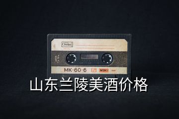 山東蘭陵美酒價格