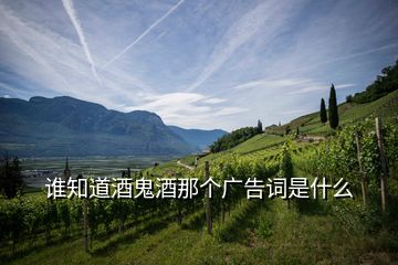 誰知道酒鬼酒那個(gè)廣告詞是什么