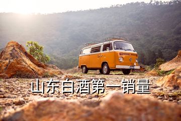 山東白酒第一銷量