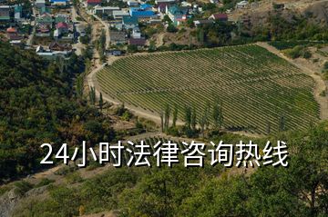 24小時(shí)法律咨詢(xún)熱線