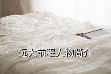 遠大前程人物簡介