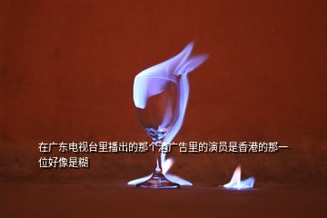 在廣東電視臺里播出的那個酒廣告里的演員是香港的那一位好像是糊