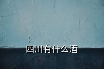 四川有什么酒