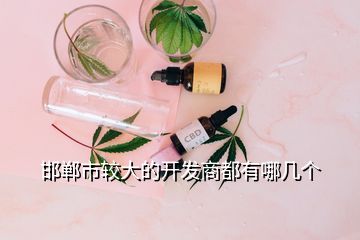 邯鄲市較大的開發(fā)商都有哪幾個