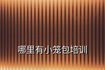 哪里有小籠包培訓
