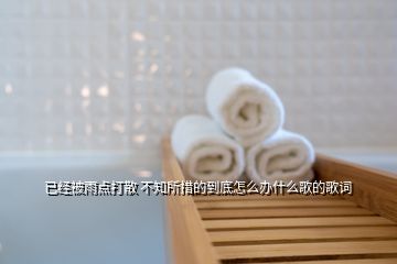 已經(jīng)被雨點打散 不知所措的到底怎么辦什么歌的歌詞
