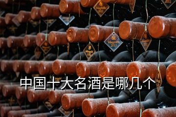 中國十大名酒是哪幾個