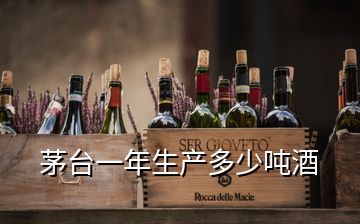 茅臺(tái)一年生產(chǎn)多少?lài)嵕?></p>
<h2 id=