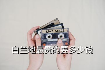 白蘭地最貴的要多少錢(qián)