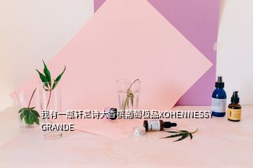 我有一瓶軒尼詩大香檳葡萄極品XOHENNESSY GRANDE