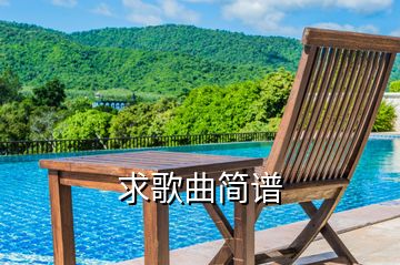 求歌曲簡(jiǎn)譜