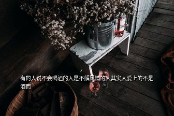 有的人說不會喝酒的人是不解風(fēng)情的人其實人愛上的不是酒而
