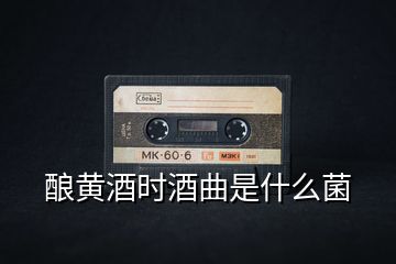 釀黃酒時(shí)酒曲是什么菌
