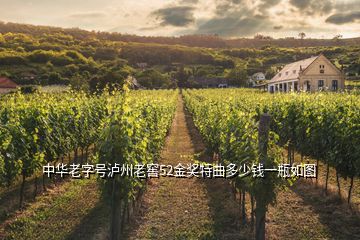 中華老字號(hào)瀘州老窖52金獎(jiǎng)特曲多少錢一瓶如圖