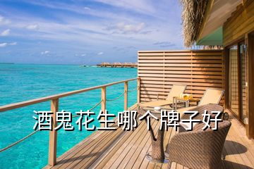 酒鬼花生哪個牌子好