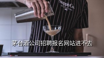 茅臺(tái)酒公司招聘報(bào)名網(wǎng)站進(jìn)不去