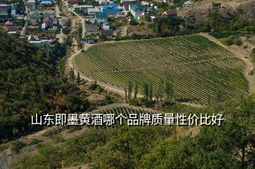 山東即墨黃酒哪個(gè)品牌質(zhì)量性價(jià)比好