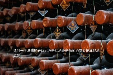 請(qǐng)問一下法國(guó)的軒詩尼酒是紅酒還是葡萄酒或者是其他酒類呢