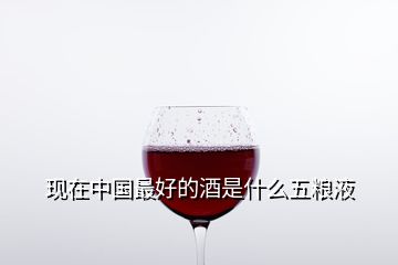 現(xiàn)在中國(guó)最好的酒是什么五糧液