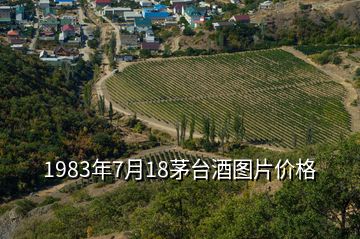 1983年7月18茅臺酒圖片價格