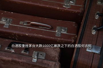 白酒股重挫茅臺(tái)大跌1000億暴跌之下的白酒股何去何從
