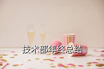 技術(shù)部年終總結(jié)