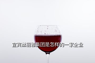 宜賓絲麗雅集團是怎樣的一家企業(yè)